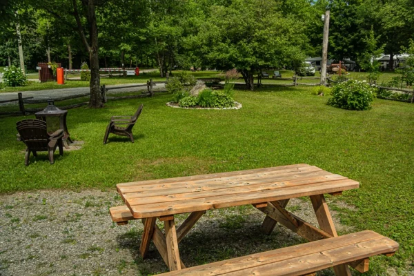 Table de pique-nique en plein air dans un parc
