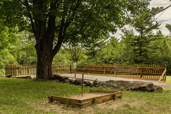 Terrain de pétanque sous les arbres