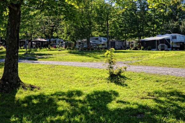 Caravanes dans un camping boisé ensoleillé.