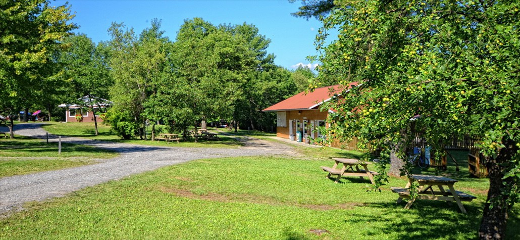 Parc verdoyant avec tables de pique-nique et bâtiments.