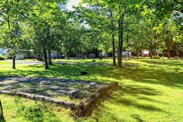 Terrain de camping ombragé et vert avec emplacements.