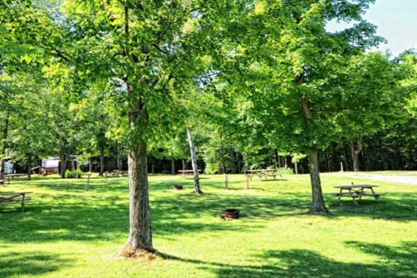 Parc verdoyant avec tables de pique-nique.