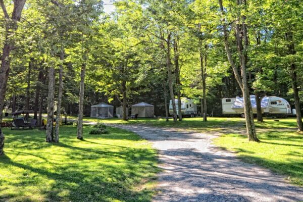 Camping avec caravanes dans la forêt ensoleillée.
