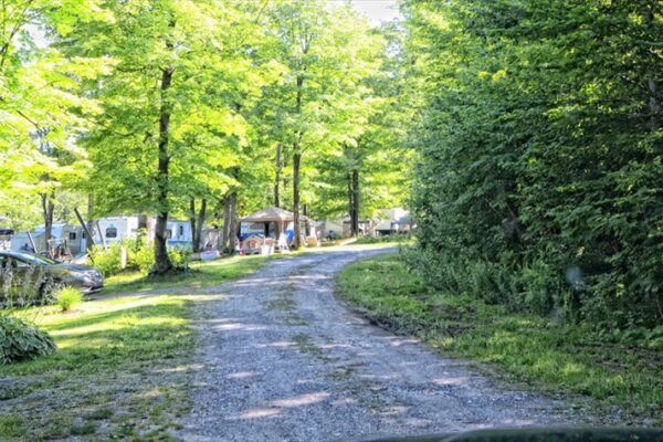 Chemin de camping en forêt, caravanes visibles.