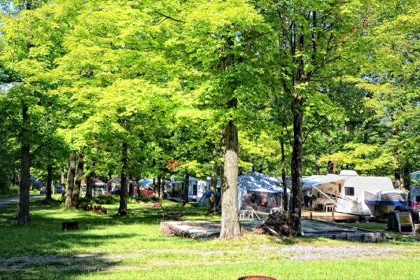 Camping-car sous les arbres verts en été.