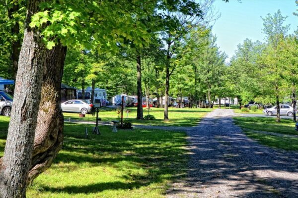 Camping verdoyant avec caravanes et voitures garées.