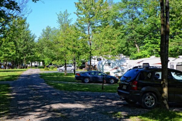 Camping-car dans un parc arboré en été.