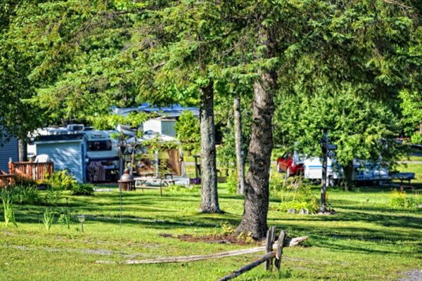 Camping verdoyant avec caravanes et arbres ombragés.