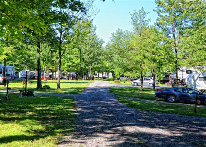 Camping avec caravanes, arbres et voitures sous un ciel bleu.